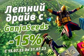 Летний вайб с GanjaSeeds