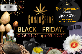 Black Friday, потрясающие цены и огромный выбор!